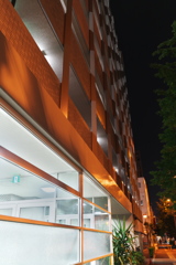 夜散歩
