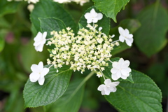 DSC01340