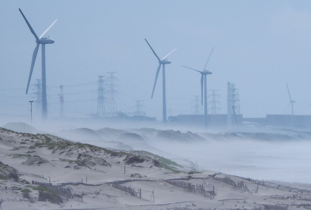 海に雲海