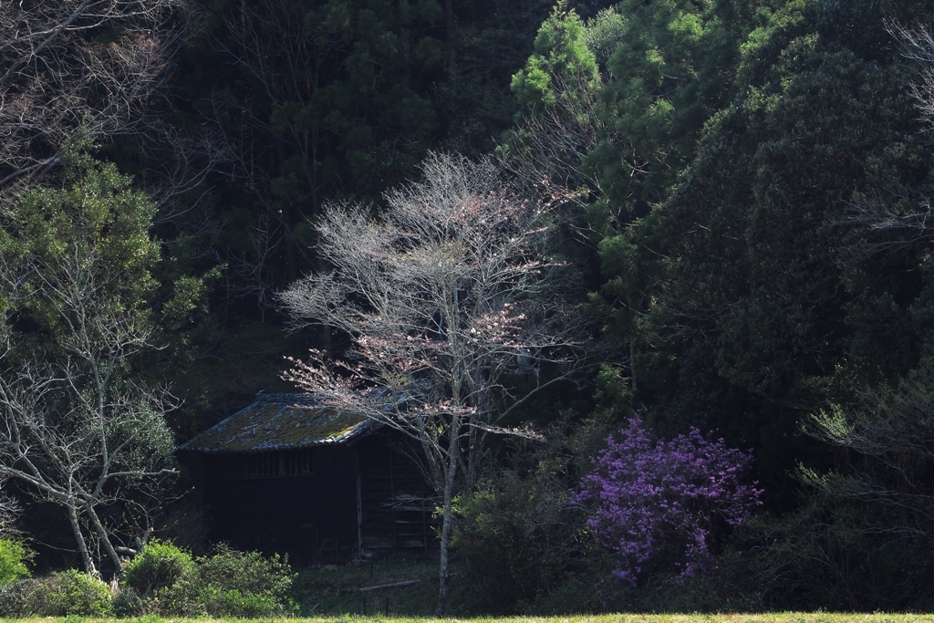 里の小風景