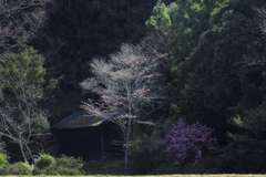里の小風景