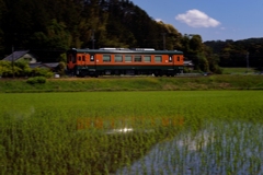 ある晴れた日の田園風景