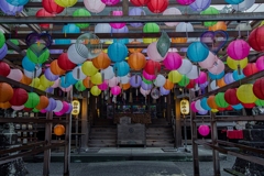 秋の神社