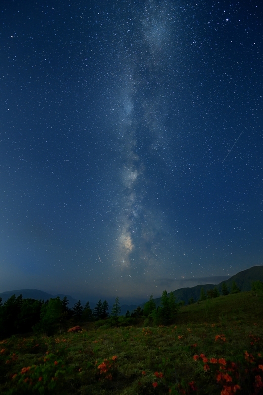 高原の夜空