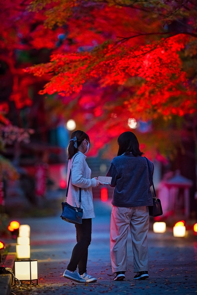 夜紅葉(もみじ）