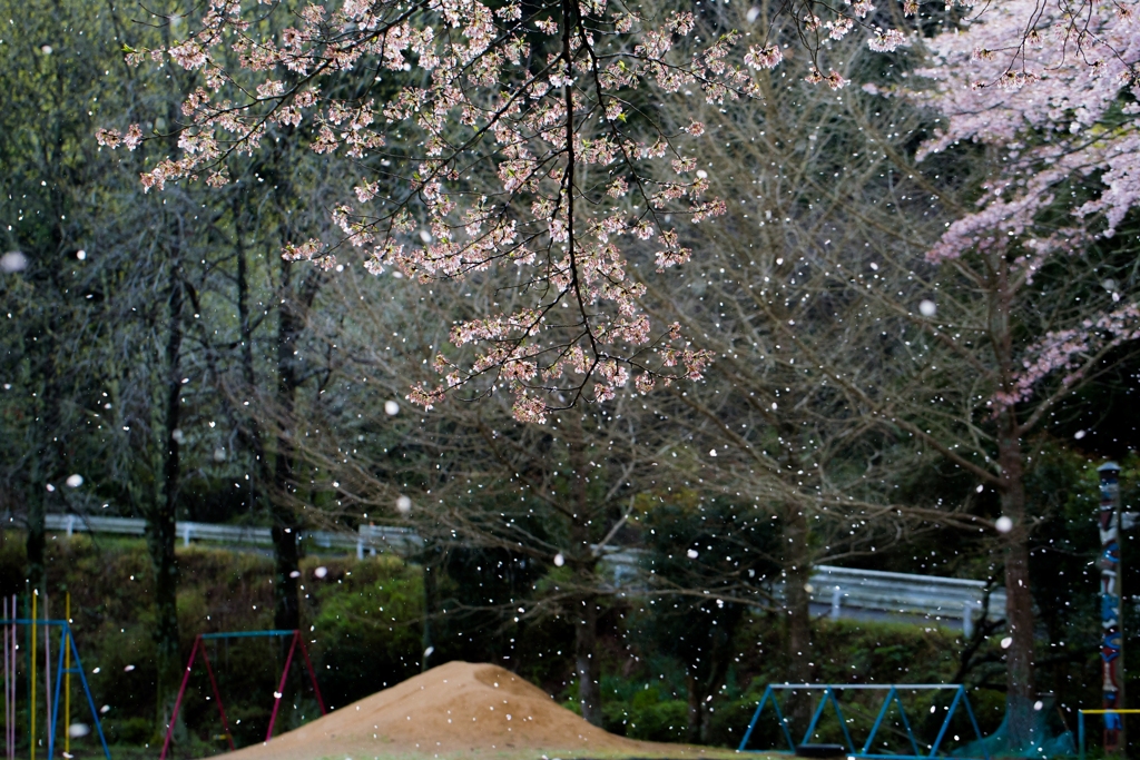 花雪