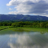 田植え2018