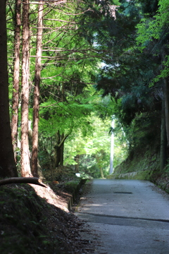 奥河内