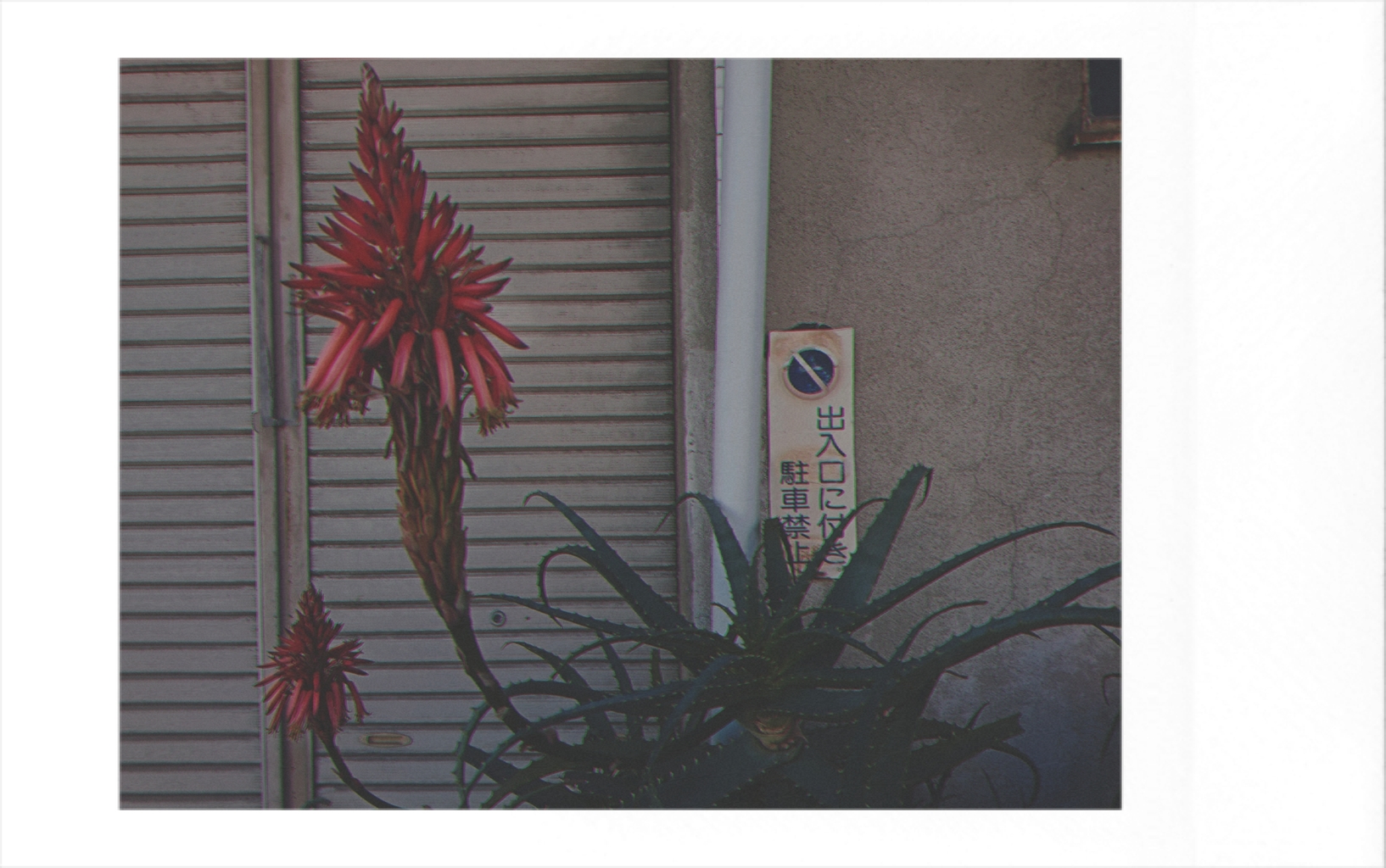 picture