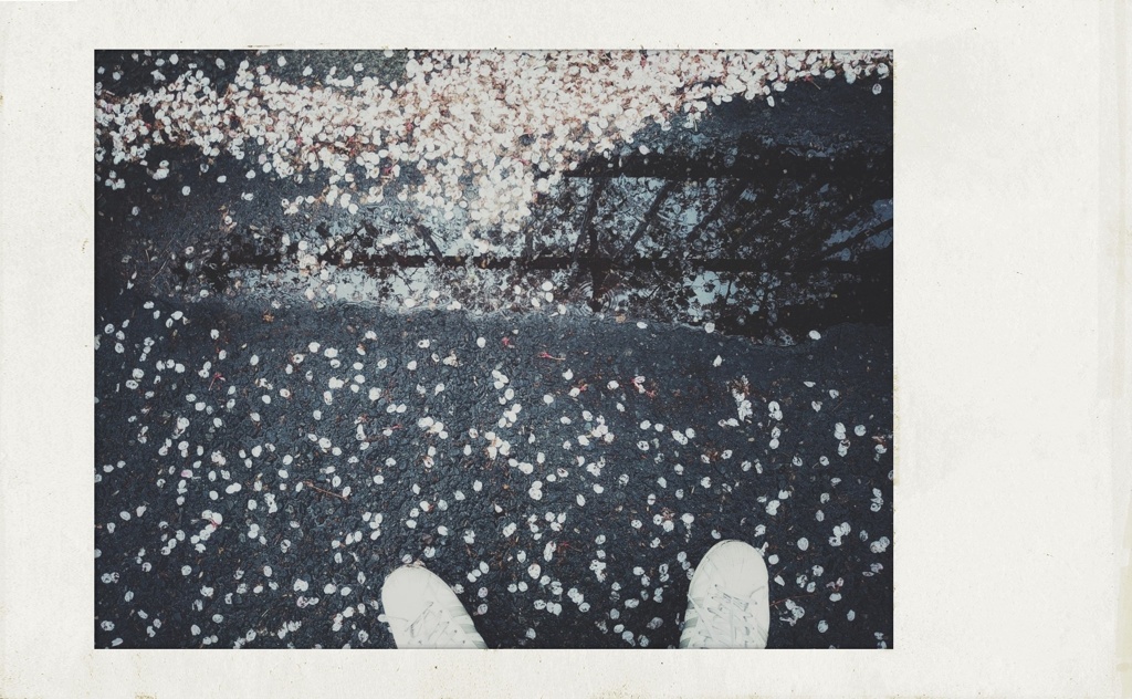 空知らぬ雪