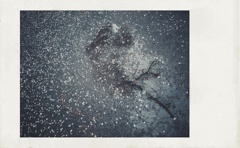 空知らぬ雪