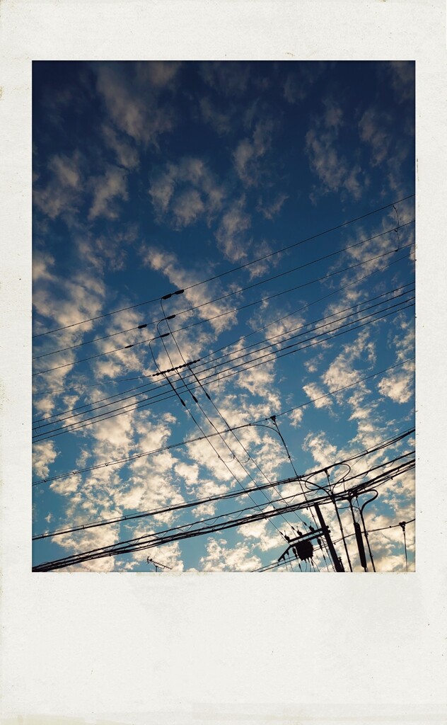 picture