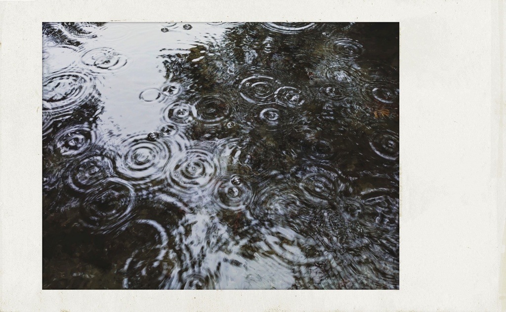 春隣の仄青い日