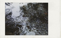 春隣の仄青い日