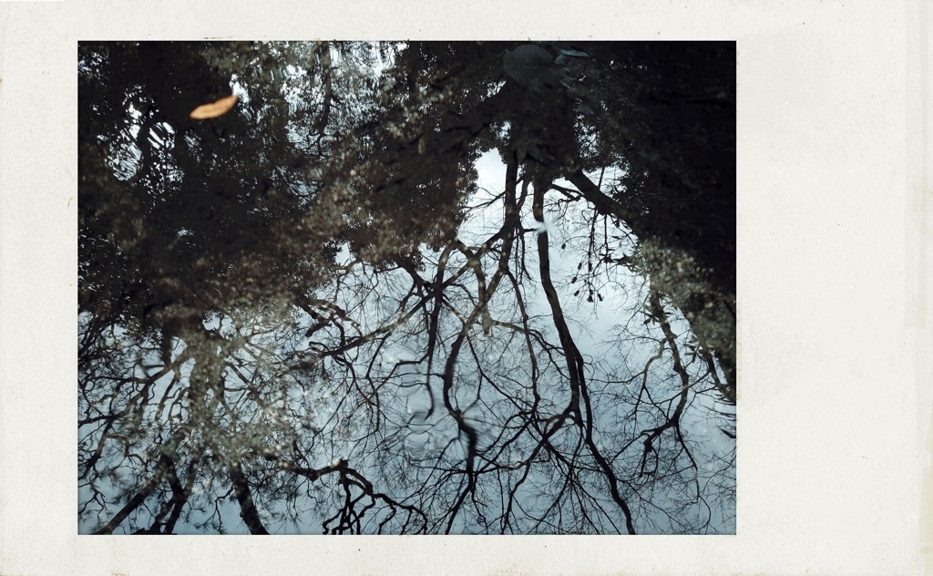 春隣の仄青い日