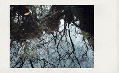 春隣の仄青い日