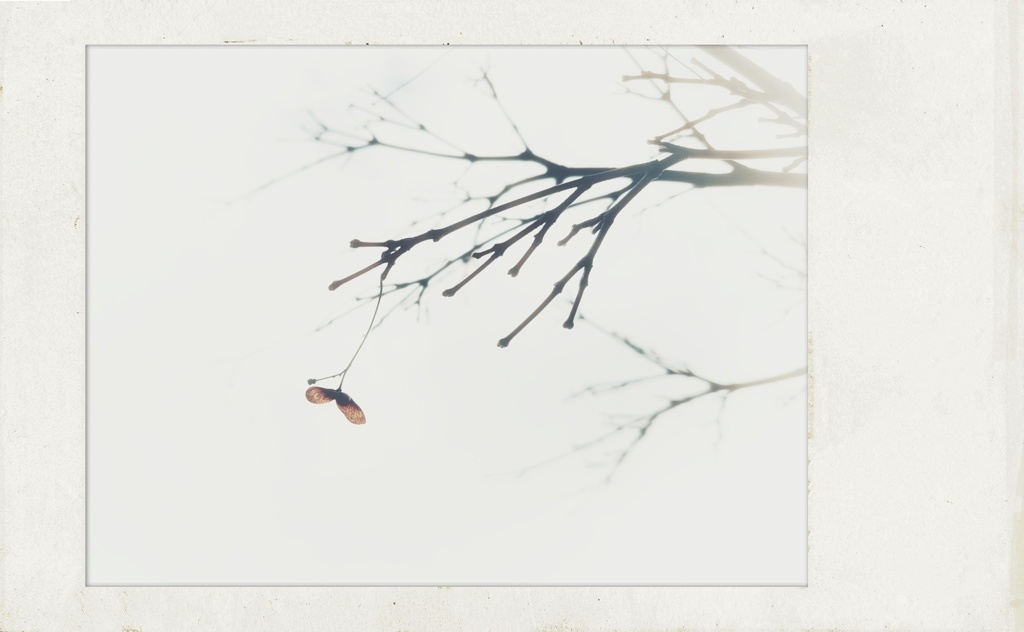 春隣の仄青い日