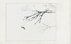 春隣の仄青い日