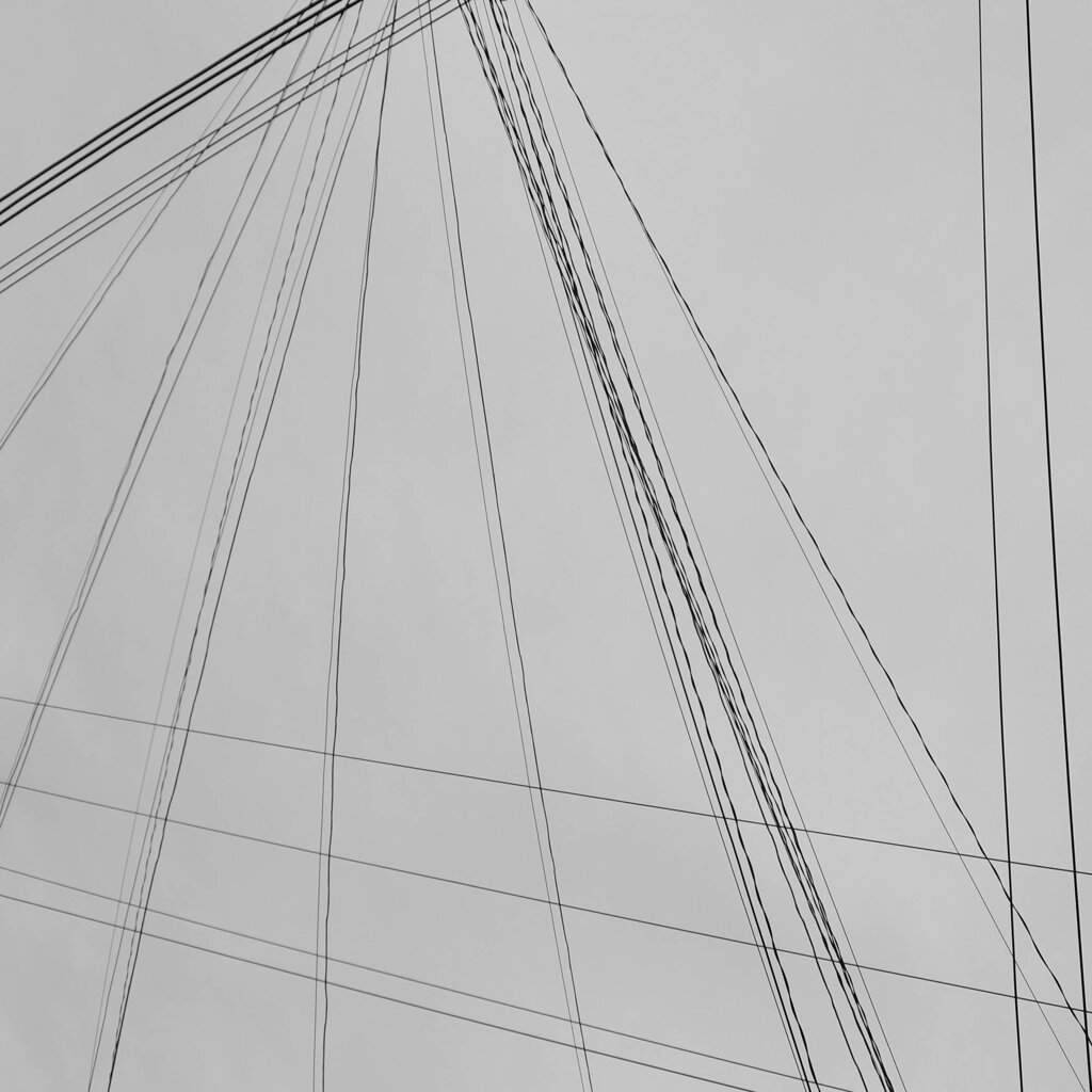 曇天の空に照らされる
