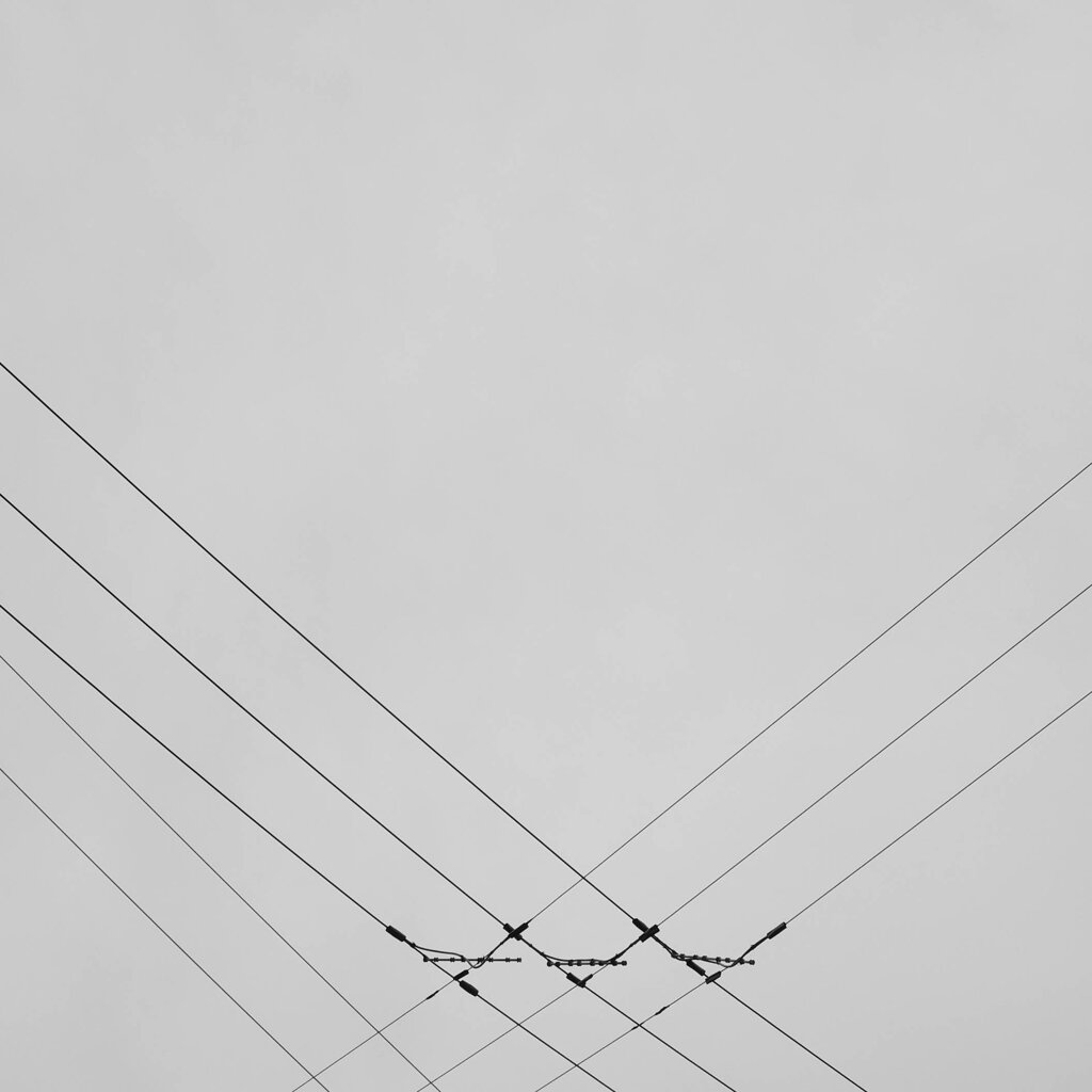 曇天の空に照らされる