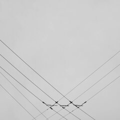 曇天の空に照らされる