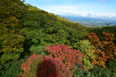 那須紅葉　ゴンゴラより