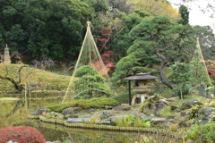 肥後細川庭園