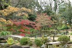 肥後細川庭園