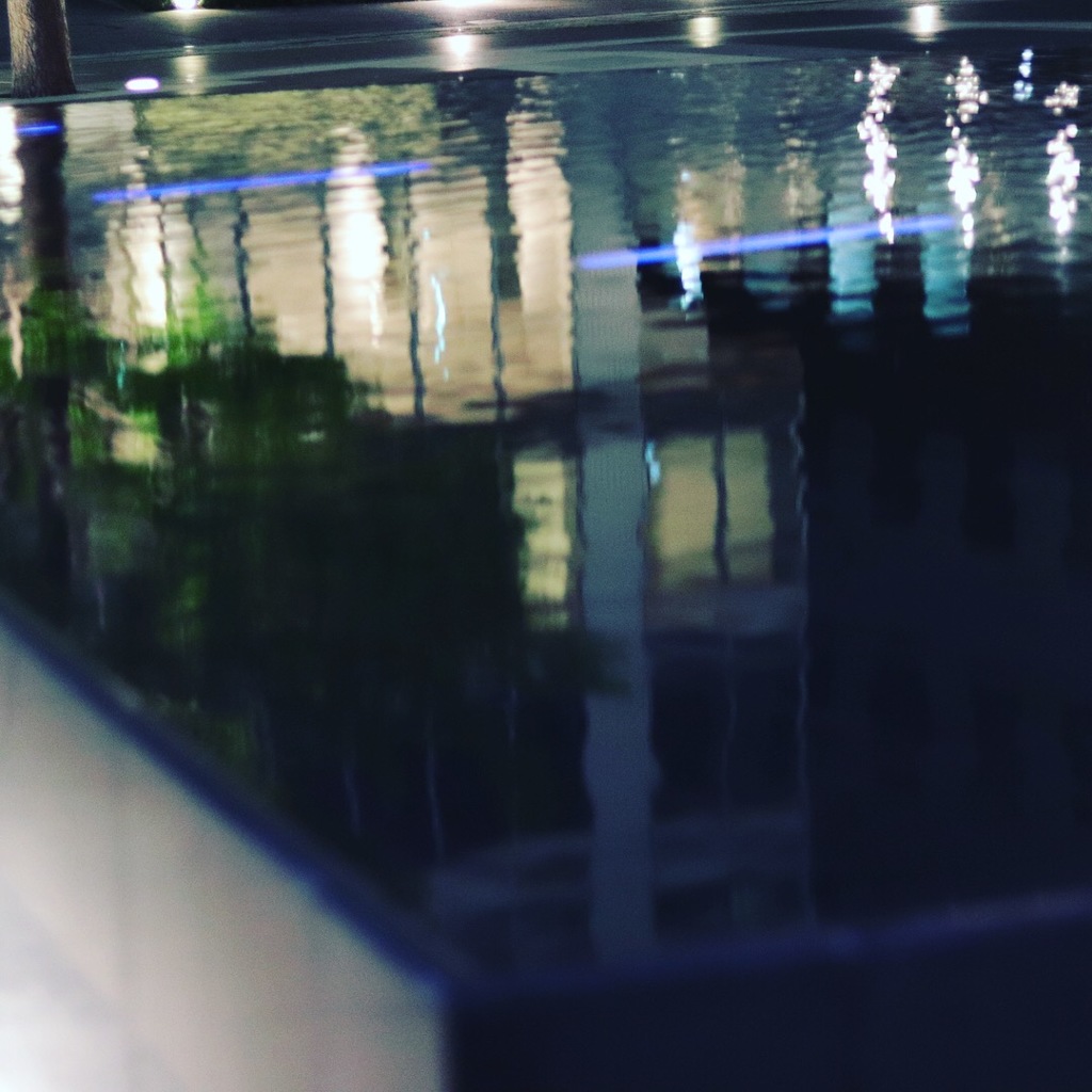 初めて一眼レフ触って