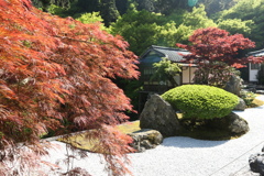 古知谷　阿弥陀寺