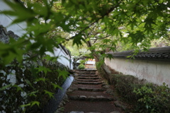勝持寺　花の寺