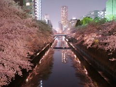 目黒川