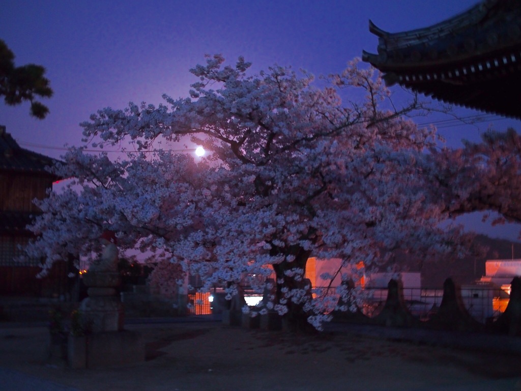 絶景