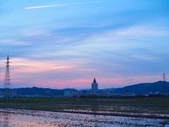 田んぼの中のお城