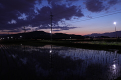 夕暮れ