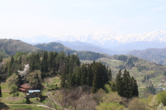 春の風景