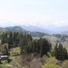 春の風景