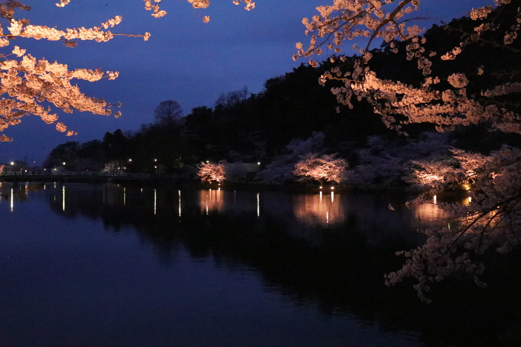 臥竜公園