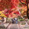 保科の清水寺の紅葉 