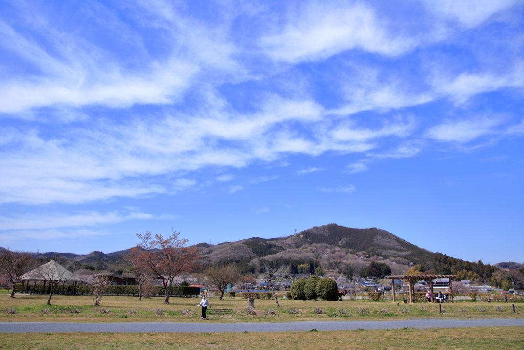 風景