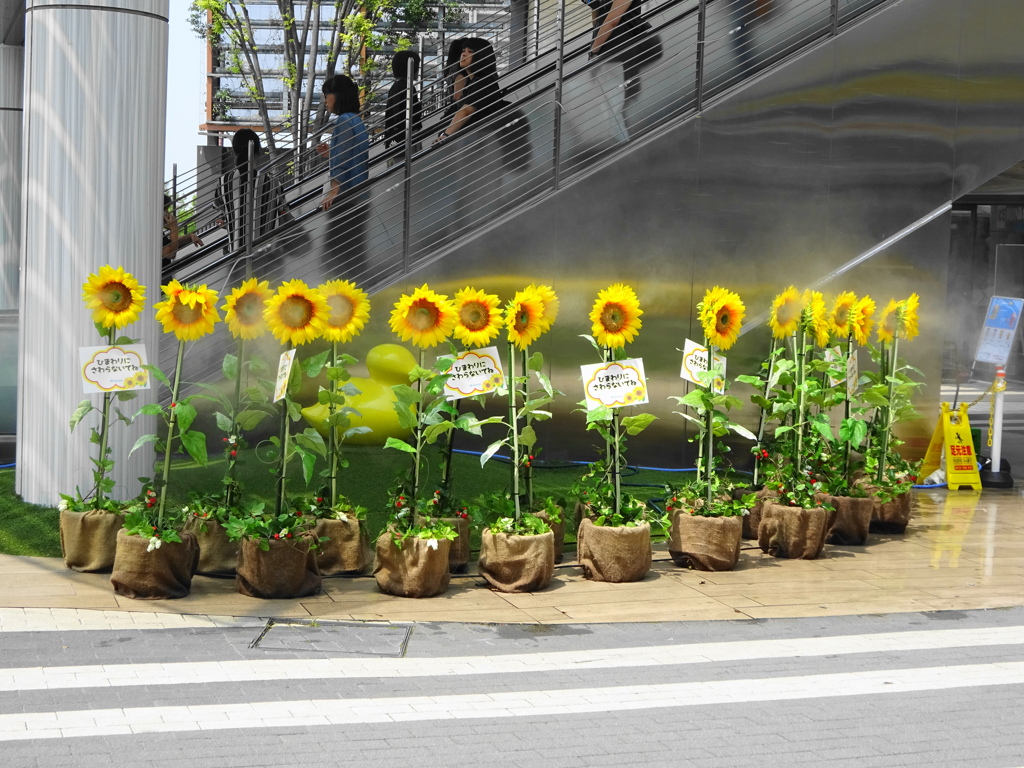 イオンレイクタウン