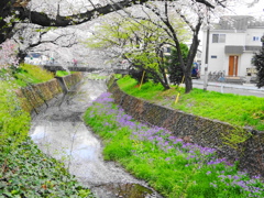 春の小川