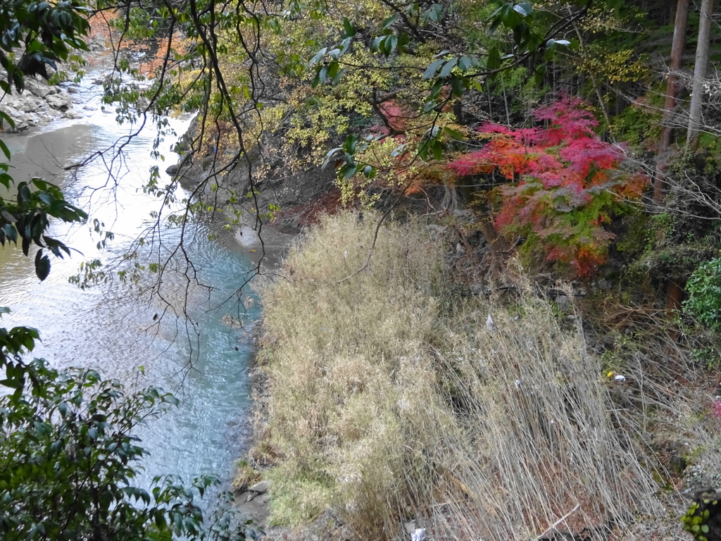 秋川渓谷