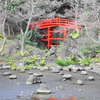 小石川後楽園