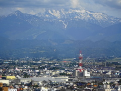 富山市役所展望塔から