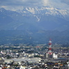 富山市役所展望塔から