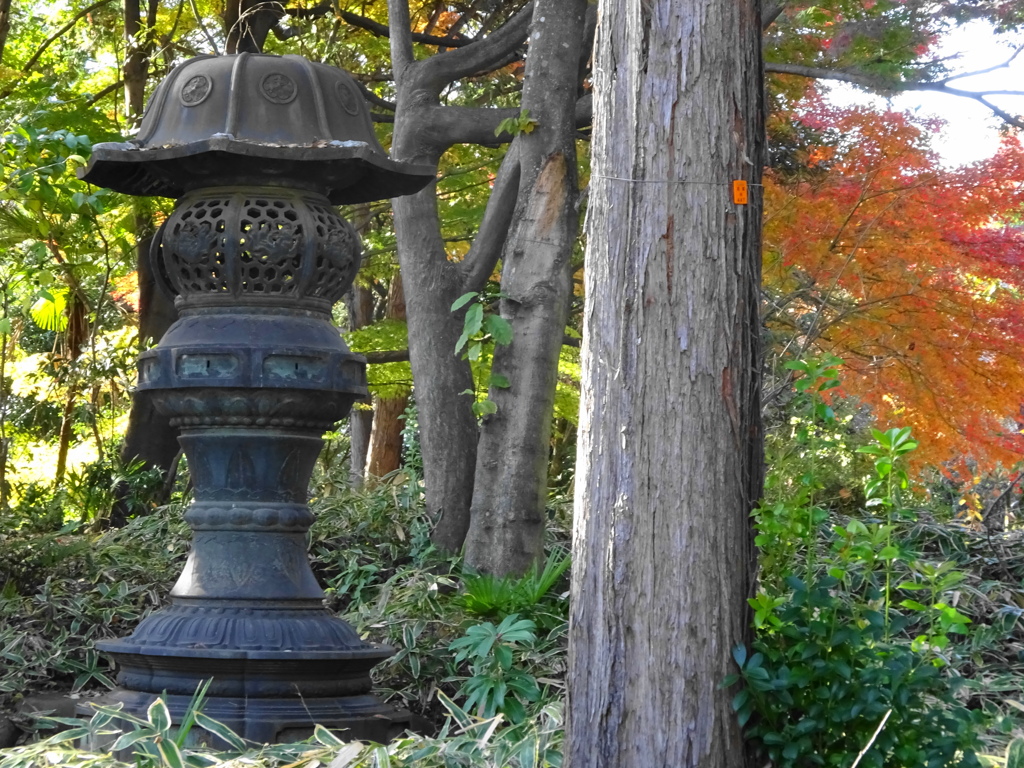 飛鳥山公園