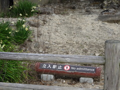 大久野島