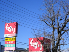 元日