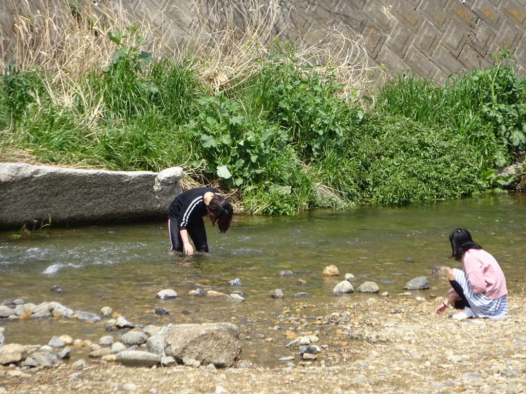 川遊びする女の子たち